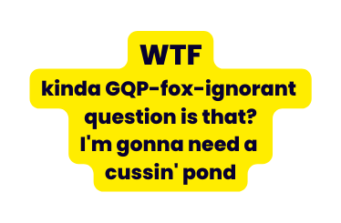 WTF kinda GQP fox ignorant question is that I m gonna need a cussin pond